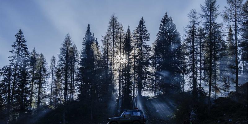 从养殖到餐桌：窜虾饲料配方与投喂技巧全攻略，解锁极致虾料理美味密码