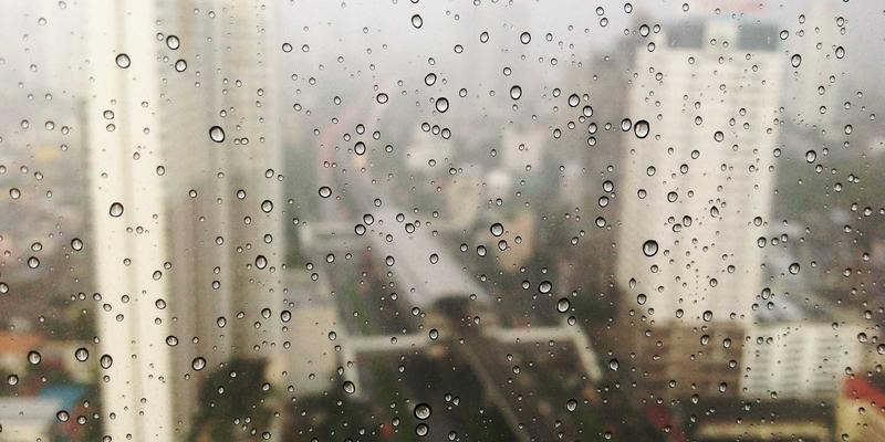 从养殖场到餐桌：揭秘窜虾饲料优化如何成就顶级餐厅推荐美食