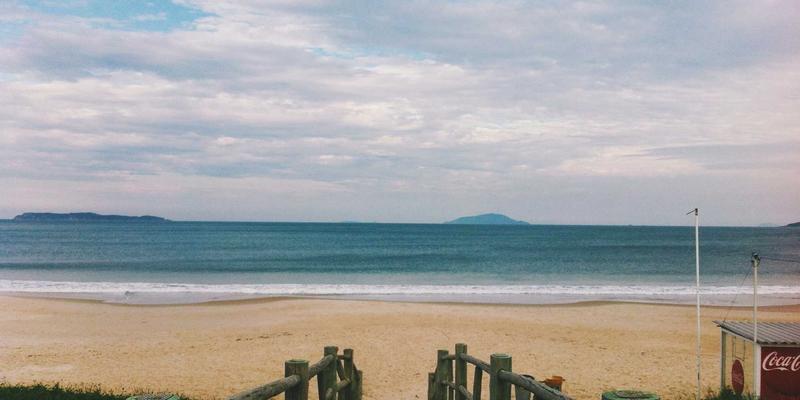 从池塘到餐桌：揭秘窜虾不同生长阶段的专用饲料配方与投喂策略