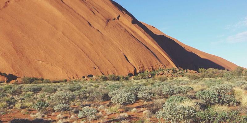 从海鲜美食到绿色科技：餐饮废弃虾壳的甲壳素提取与生物材料制作新思路