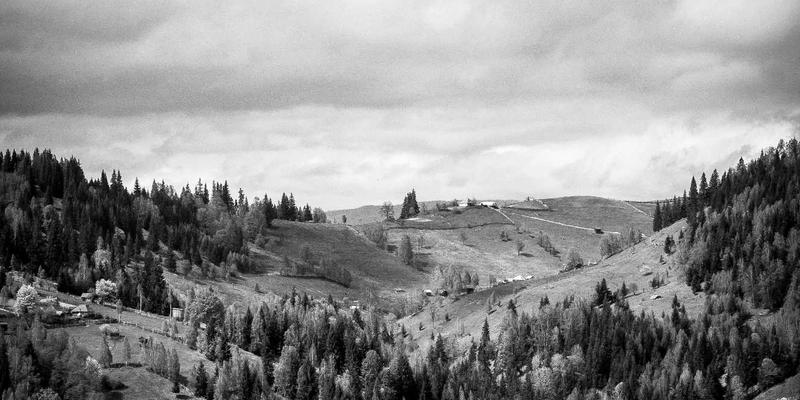 从源头到餐桌：掌握窜虾苗种高成活率秘诀，解锁极致海鲜美食体验