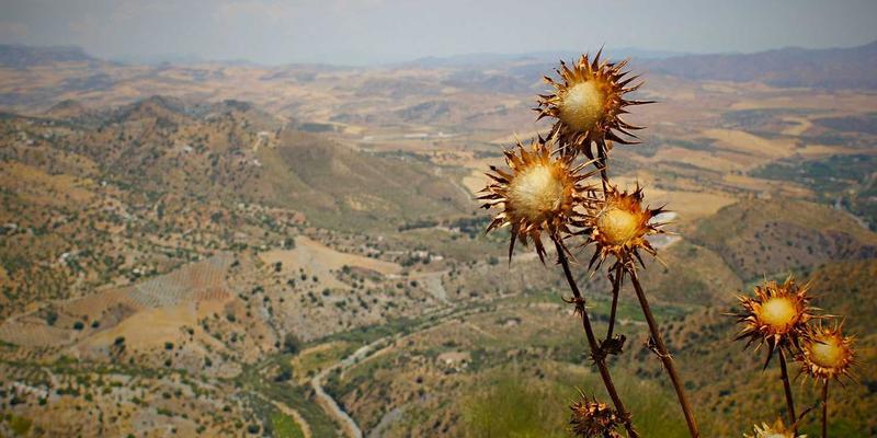 从窜虾现象看餐饮爆款逻辑：如何打造值得推荐的餐厅