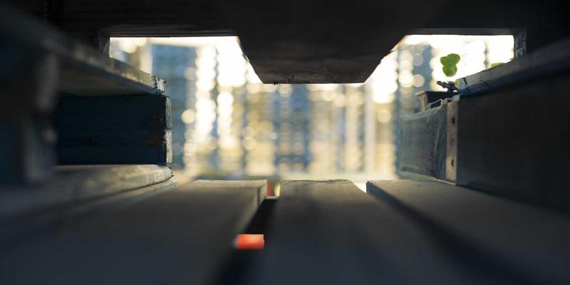 传统中式窜虾菜系巡礼：粤菜、鲁菜、淮扬菜的经典做法与餐饮推荐