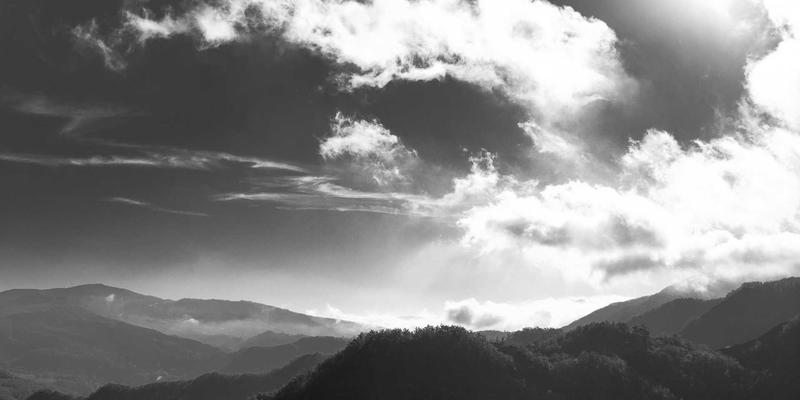 海鲜美食安全指南：窜虾微孢子虫等寄生虫的早期诊断与餐桌防控