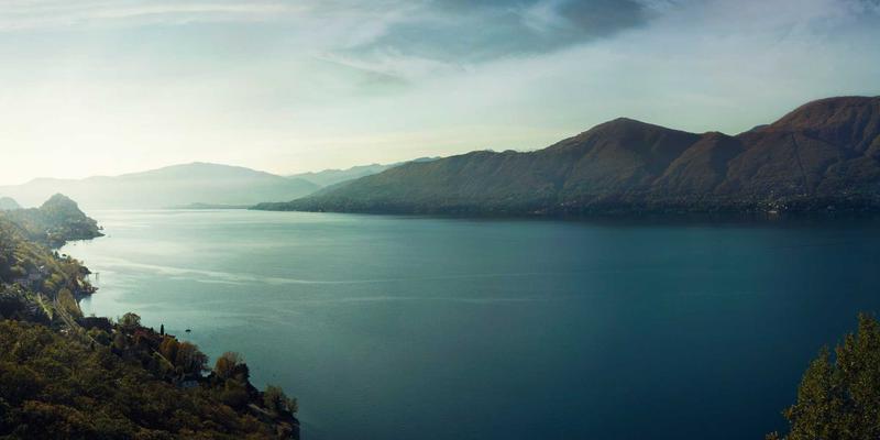 海鲜美食新发现：从虾头虾壳到餐桌美味与宠物佳肴的高值化蜕变