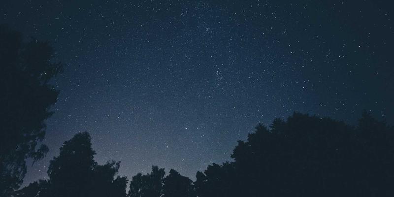 海鲜美食新选择：窜虾与对虾养殖效益深度对比，餐饮采购必读指南