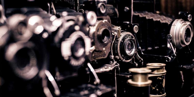 海鲜美食爱好者必看：窜虾捕捞、分级与运输全流程减损保鲜操作规范