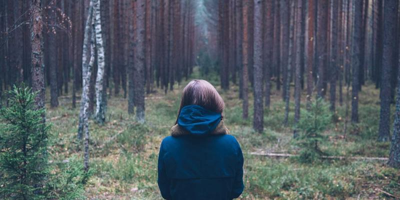 窜虾19：从市井烟火到餐桌艺术的味觉革命