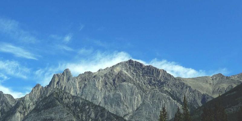 窜虾23：解锁海鲜美食新境界，从选购到烹饪的完整食谱指南