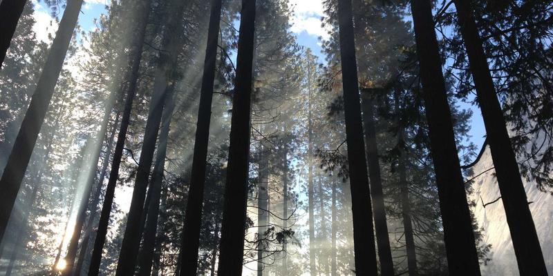 窜虾27：解锁海鲜烹饪新境界，在家复刻餐厅级美味