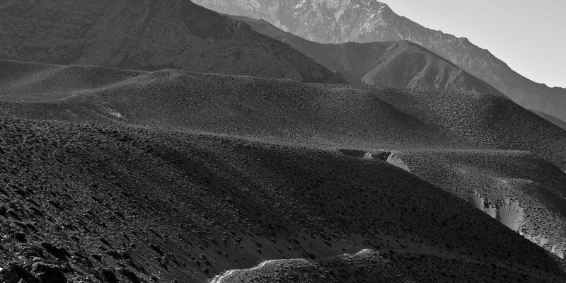 窜虾53：揭秘这道风靡餐桌的鲜香虾料理