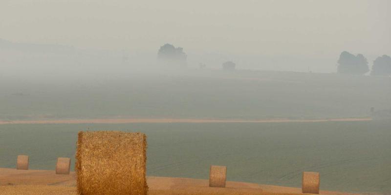 窜虾55：解锁虾料理的鲜香密码，从家常烹饪到宴客美食