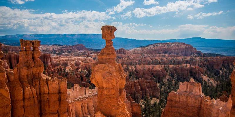 窜虾57：一场席卷味蕾的麻辣盛宴，不可错过的餐饮新体验