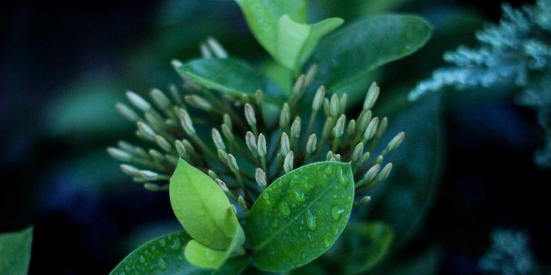 窜虾59：揭秘这道风靡餐桌的鲜香虾料理，从典故到家常做法