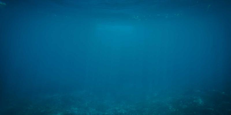 窜虾6：一场颠覆传统的虾料理革命，为何成为餐饮界新宠？