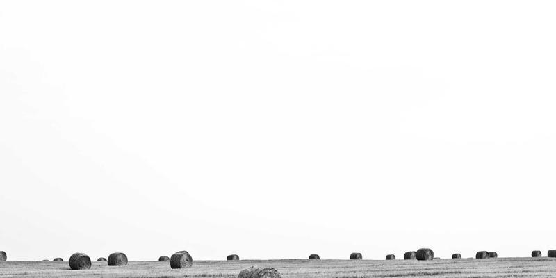 窜虾74：一场颠覆传统的虾料理盛宴，探寻城市中的鲜味密码