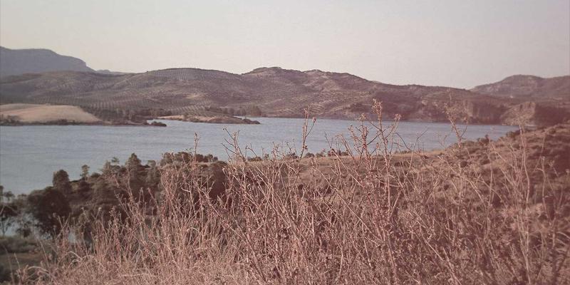 窜虾89：揭秘城市角落的宝藏餐厅，体验舌尖上的烟火气