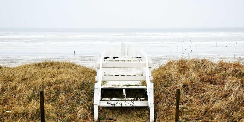 窜虾92：揭秘这道风靡餐桌的虾料理，为何成为餐饮界新宠？