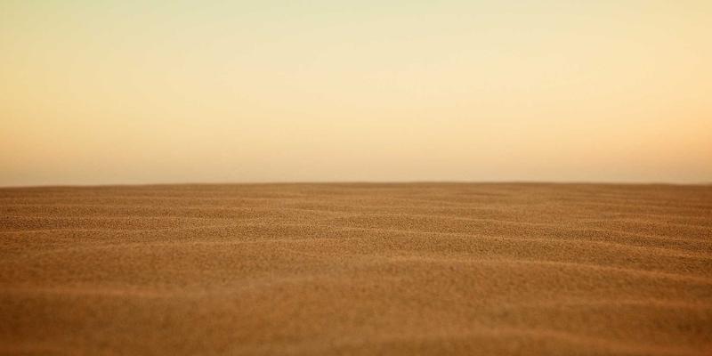 窜虾：从市井烟火到精致餐桌的鲜味革命