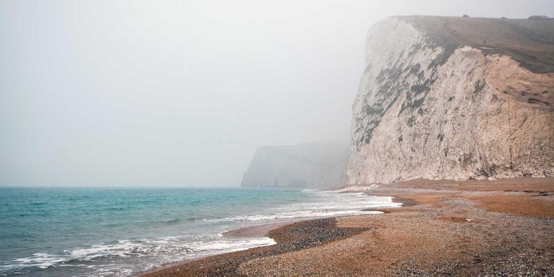 窜虾入馔新纪元：即食与即烹虾产品如何重塑海鲜美食市场