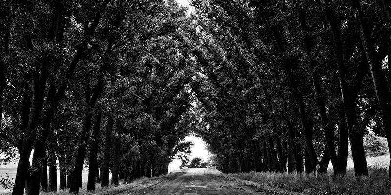 窜虾对比：从市井小吃到海鲜盛宴的烹饪艺术与美食推荐