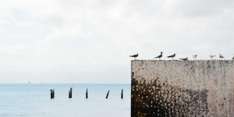 窜虾攻略：从海鲜市场到餐桌的烹饪秘笈与美食分享