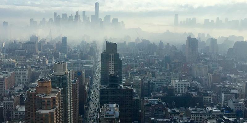 窜虾：解锁海鲜美食新境界，虾料理的极致鲜味体验
