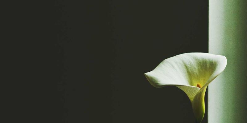 窜虾预制菜革命：从海鲜美食到标准化食谱的餐厅推荐新趋势