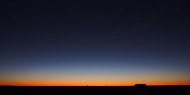 餐厅推荐的海鲜美食秘诀：揭秘窜虾加工工艺与虾料理品质控制